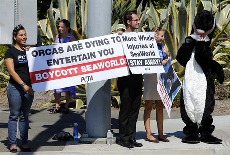 Demonstrators from the People for the Ethical Treatment of Animals (PETA) protest against a killer whale's injury outside SeaWorld in San Di Demonstrators from the People for the Ethical Treatment of Animals (PETA) protest against a killer whale's injury outside SeaWorld in San Di