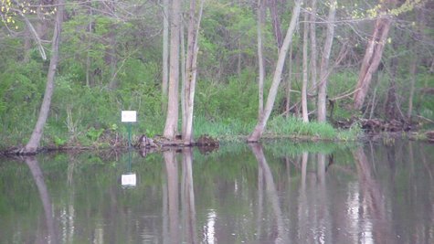Kalamazoo River Kalamazoo River