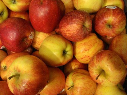apples apples