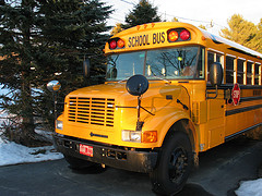 school bus school bus