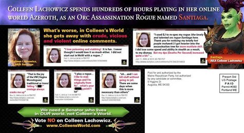 A mailer distributed by the Republican party which attacks Democratic state senate candidate Colleen Lachowicz for playing online games is s A mailer distributed by the Republican party which attacks Democratic state senate candidate Colleen Lachowicz for playing online games is s