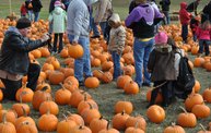 Harvestfest 2012: Cover Image