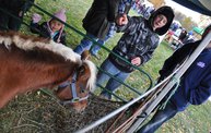 Harvestfest 2012 12