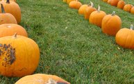 Maino's Pumpkin Palooza 2012 for the Troops 2