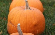 Maino's Pumpkin Palooza 2012 for the Troops 16