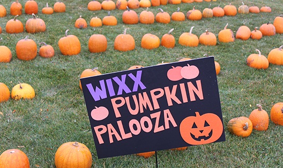 Maino and the Wisconsin Desert Vets sell pumpkins and raise money to send Halloween treats to troops