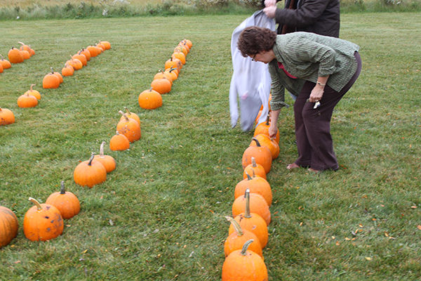 Maino and the Wisconsin Desert Vets sell pumpkins and raise money to send Halloween treats to troops