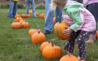 Maino's Pumpkin Palooza 2012 for the Troops 6