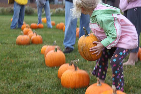 Maino and the Wisconsin Desert Vets sell pumpkins and raise money to send Halloween treats to troops