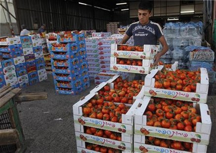 A worker arranges boxes of tomatoes at a wholesale vegetable and fruit market in the West Bank village of Beita, near Nablus September 2, 20 A worker arranges boxes of tomatoes at a wholesale vegetable and fruit market in the West Bank village of Beita, near Nablus September 2, 20