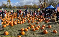 Harvest Fest 2012 21