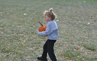 Harvest Fest 2012 1