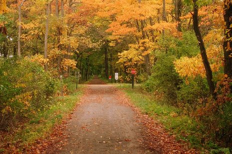 Fall is beautiful along the Kal-Haven Trial which meanders from Kalamazoo County all the way to South Haven on the Lake Michigan shore. Fall is beautiful along the Kal-Haven Trial which meanders from Kalamazoo County all the way to South Haven on the Lake Michigan shore.
