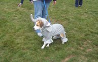 Q106 at C.A.H.S. Run & Walk For Animals (10-6-12) 15