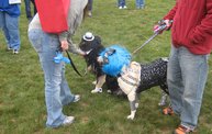 Q106 at C.A.H.S. Run & Walk For Animals (10-6-12) 14