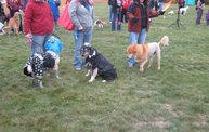 Q106 at C.A.H.S. Run & Walk For Animals (10-6-12) 7