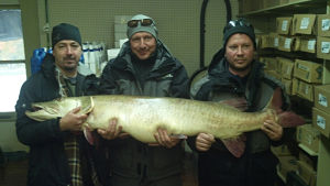 Joe Seeberger and friends show off their Prize. (photo courtesy DNR} Joe Seeberger and friends show off their Prize. (photo courtesy DNR}