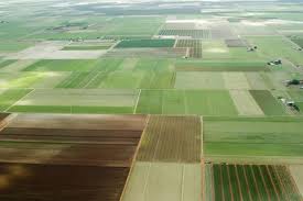 farmland farmland