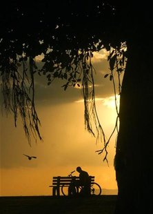 A man rests and reads a book under a banyan tree during sunset on Magic Island near Waikiki in Honolulu, Hawaii May 9, 2005. REUTERS/Lucy Pe A man rests and reads a book under a banyan tree during sunset on Magic Island near Waikiki in Honolulu, Hawaii May 9, 2005. REUTERS/Lucy Pe