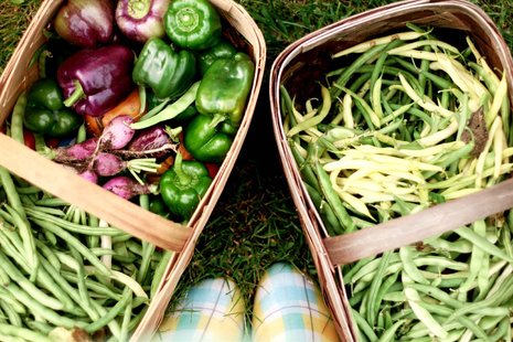 Garden Produce Garden Produce