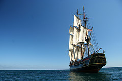 The HMS Bounty The HMS Bounty