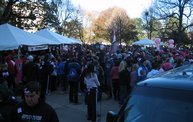Making Strides 2012 13