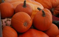 WIXX Pumpkin Drop :: 10/31/12 11