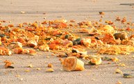 WIXX Pumpkin Drop :: 10/31/12 7