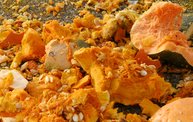 WIXX Pumpkin Drop :: 10/31/12 2