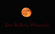 Dave Kallaway's Halloween Pictures 2012 6