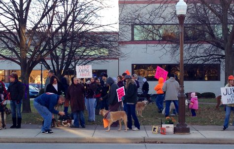 About 100 people supporting "Mary" the dog that died of abuse supporting tougher animal cruelty laws and full prosecution of the suspect at the Marathon County Courthouse, Wausau WI 10/31/12 About 100 people supporting "Mary" the dog that died of abuse supporting tougher animal cruelty laws and full prosecution of the suspect at the Marathon County Courthouse, Wausau WI 10/31/12