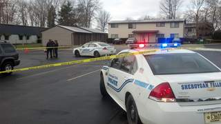 Police in Sheboygan Falls investigate shooting on Monday November 5, 2012. (courtesy of FOX 11). Police in Sheboygan Falls investigate shooting on Monday November 5, 2012. (courtesy of FOX 11).