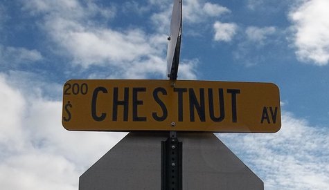 Chestnut Avenue sign, Marshfield WI Chestnut Avenue sign, Marshfield WI