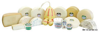 BelGioioso cheeses BelGioioso cheeses