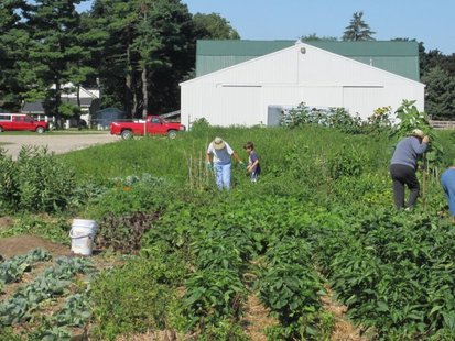 Plant A Row For The Hungry project Plant A Row For The Hungry project