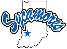 sycamores sycamores
