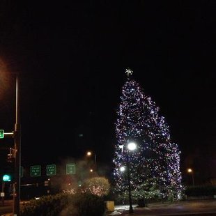 Duluth Christmas Tree Duluth Christmas Tree