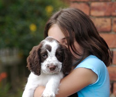 girl and puppy girl and puppy