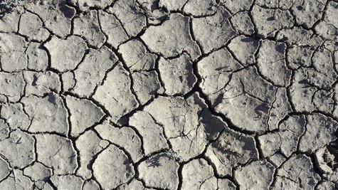 Cracks appear on the soil of a drought-hit field in Tropic, Utah August 19, 2012. REUTERS/Charles Platiau Cracks appear on the soil of a drought-hit field in Tropic, Utah August 19, 2012. REUTERS/Charles Platiau