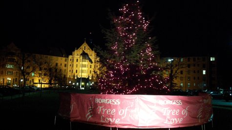 Tree of Love with its pink lights ablaze Tree of Love with its pink lights ablaze