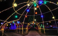 Marshfield Rotary's Winter Wonderland 2012! 14