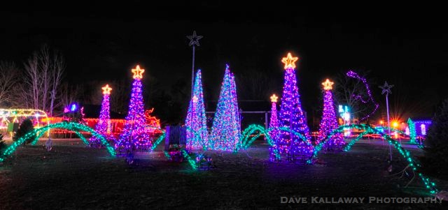 Lights, Christmas Trees..no kidding..the light bill is about $20 a night!