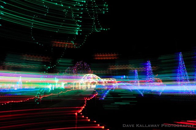 Here's what happens when you spin your camera around!