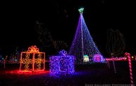 Marshfield Rotary's Winter Wonderland 2012! 4