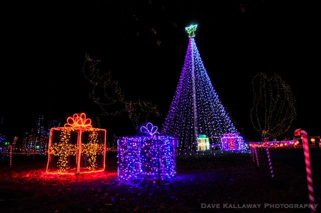 Lit up packages with a HUGE Christmas tree greets you!