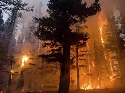 A wildfire burns in the Wenatchee Complex in Okanogan Wenatchee National Forest, Washington, October 1, 2012. REUTERS/Kari Greer/USFS/Handou A wildfire burns in the Wenatchee Complex in Okanogan Wenatchee National Forest, Washington, October 1, 2012. REUTERS/Kari Greer/USFS/Handou