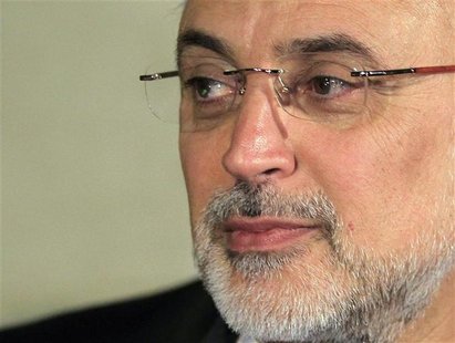 Iranian Foreign Minister Ali Akbar Salehi attends a news conference after a meeting regarding the Syrian crisis, in Cairo September 17, 2012 Iranian Foreign Minister Ali Akbar Salehi attends a news conference after a meeting regarding the Syrian crisis, in Cairo September 17, 2012
