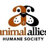 Animal Allies