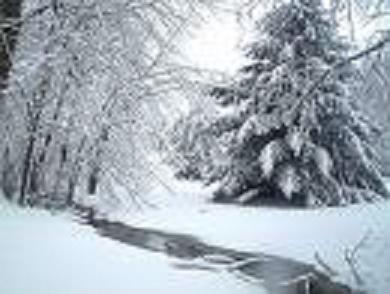 This is the way Winter should look. This is the way Winter should look.