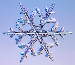 snow snow